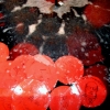 Le Massacre de Jesus Egoiste II - The MFA Graduation Show2**