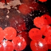 Le Massacre de Jesus Egoiste II - The MFA Graduation Show1*********