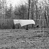 Clothes Line