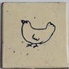 595. bird