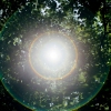 Aberration #6