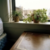 Condensation from a glass on the bedside table
