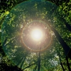 Aberration #5