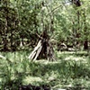 Fort (detail)