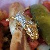 hot dog gator