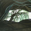 Window #47 Cave