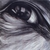Eye #16 Country