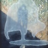 White Shadow