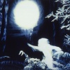 Nightland