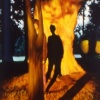 The Shadow