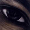 Eye #32 Z