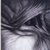 Eye #17 Bird Woman
