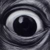Eye #10 Louie