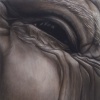 Eye #23 Santa