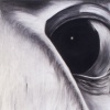 Eye #21 Eyeball