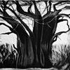 Baobab Tree