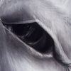 Eye #18 Sad