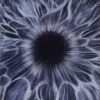 Eye #9 Retina Starburst