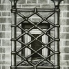 Window #46 Birds Nest