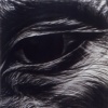 Eye #15 Dark Buddha