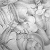 Wasp detail