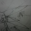 detail: Irritating