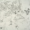 detail: Vow