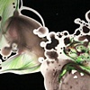 detail III