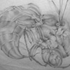 Wasp