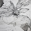 detail: Where the Wind Lists