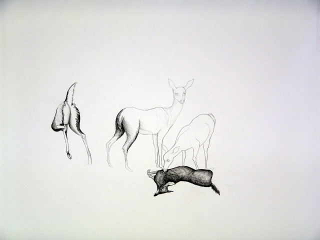 Untitled (herd#2)