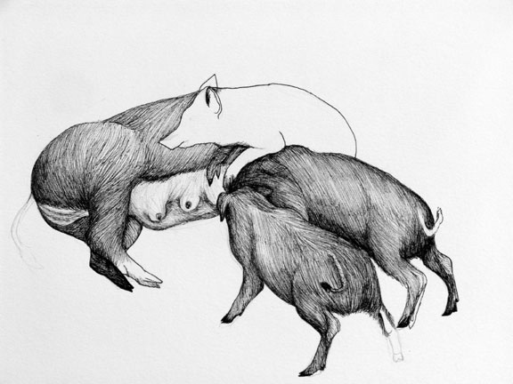 nursing boars (detail)