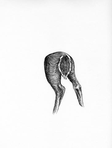 Hind #1
