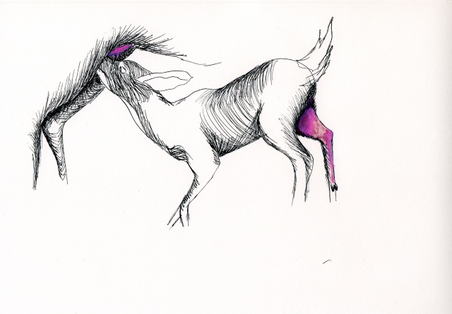 Hind & fawn