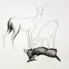 Untitled (herd#2)