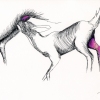 Hind & fawn