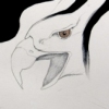 detail from neo-simian witchcraft / the harpy