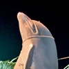 Dolphin Hunting,
Miami, Florida