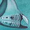 Manta Ray Hunting
Florida Keys, FL