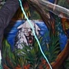 Jungle Hunting
Miami Florida