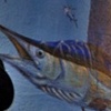 Swordfishing
Miami, FL