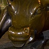 Bull Hunting
Manhattan, New York