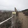 Crochet Bird
Baker Beach 2, San Francisco