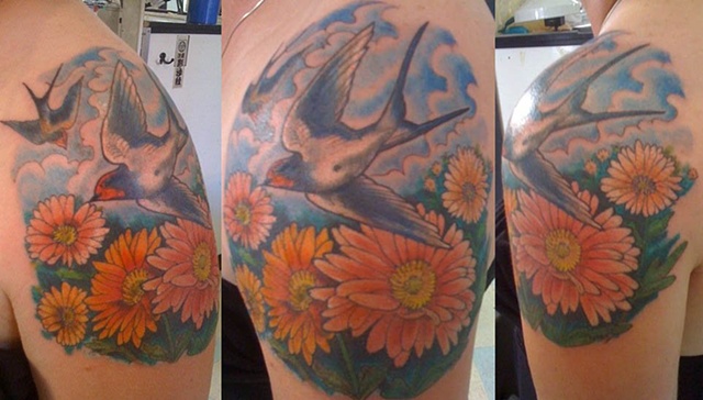 swallows and daisys
