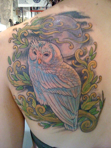 Owl and the Moon