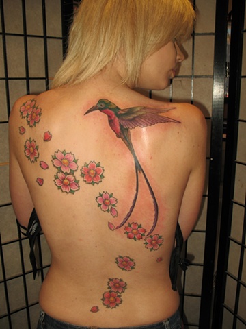 cherry blossoms and hummingbird