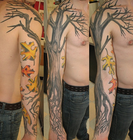 tree in fall

