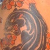 Panther and Blossoms