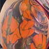 California Poppies 