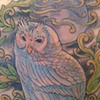 Owl and the Moon